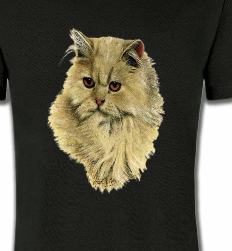 Chat Persan sable (R)