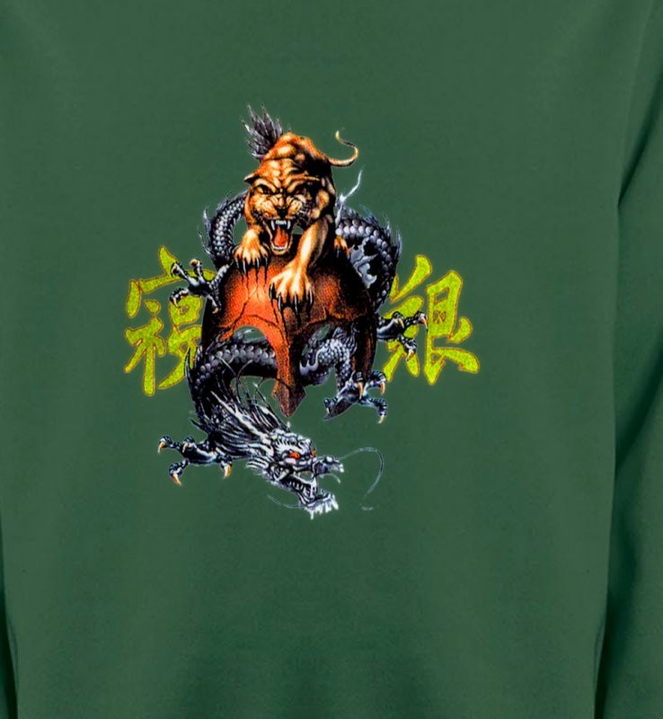 Dragon et Lion chinois (T3)