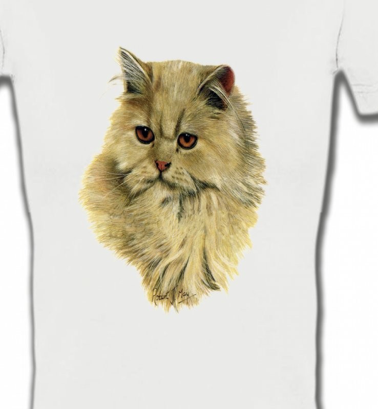 Chat Persan sable (R)