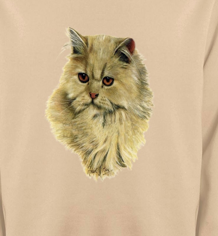 Chat Persan sable (R)
