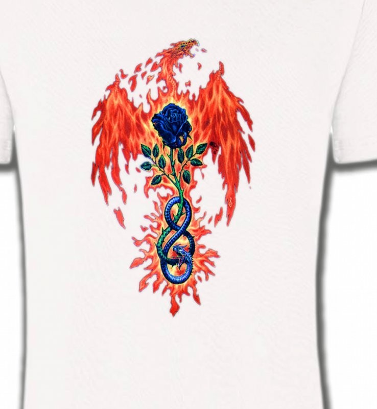 Dragon de feu (K4)