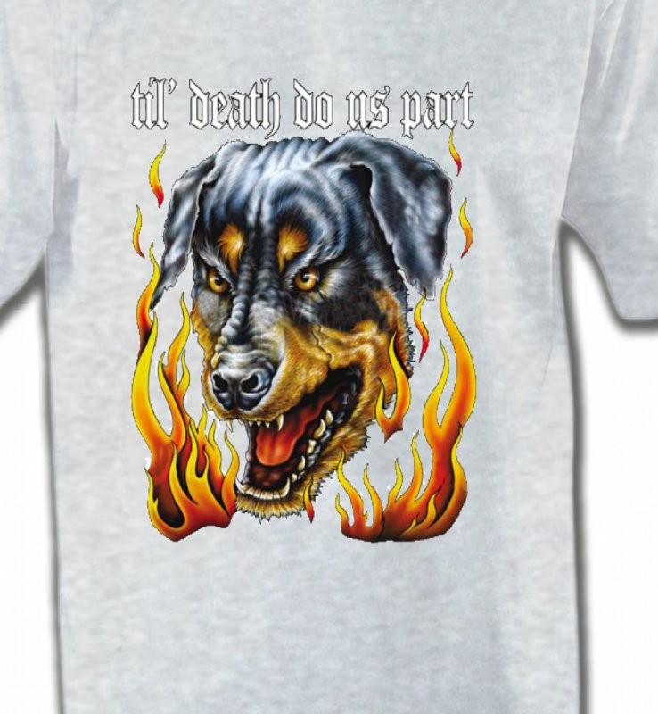 Rottweiler Enfer (P)