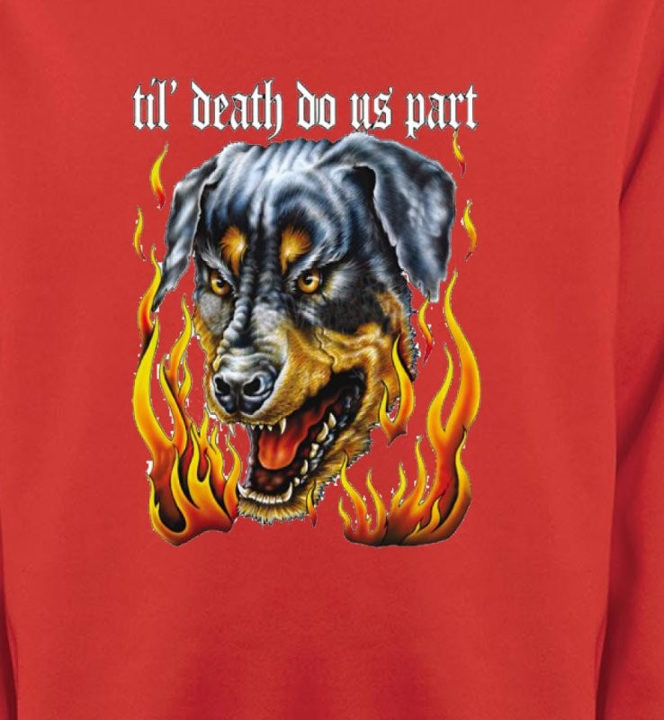 Rottweiler Enfer (P)