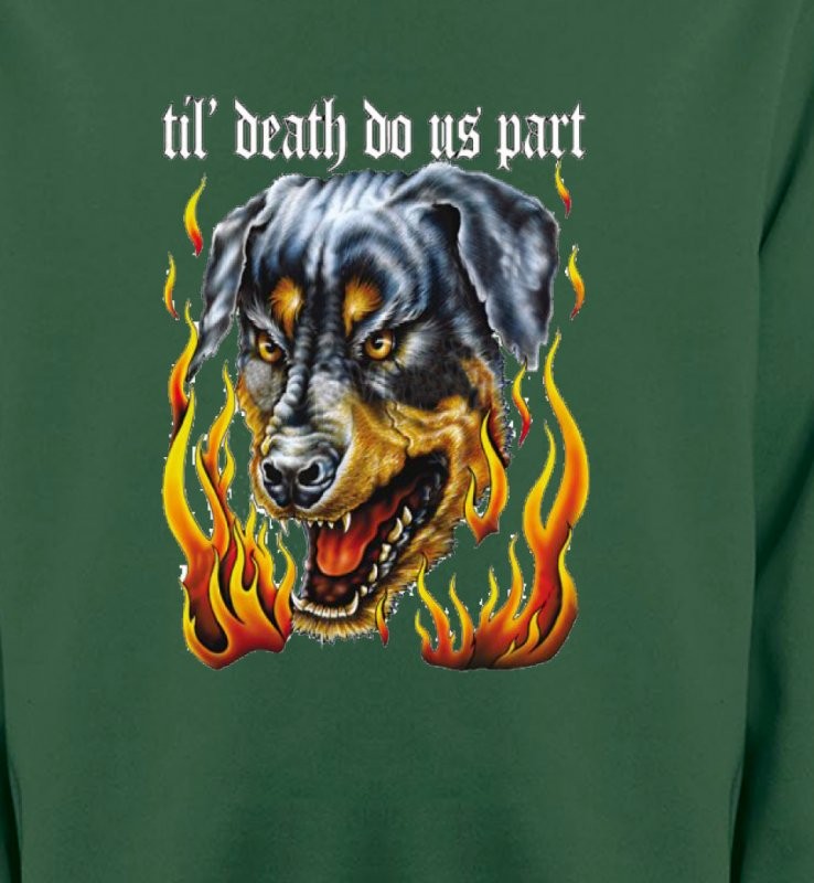 Rottweiler Enfer (P)