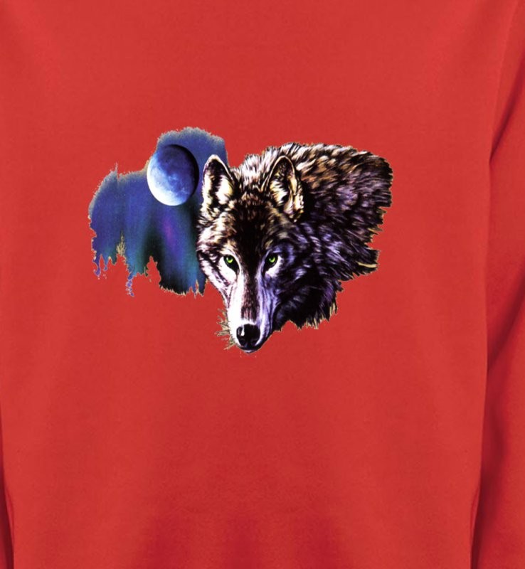 La nuit du loup (S2-C)