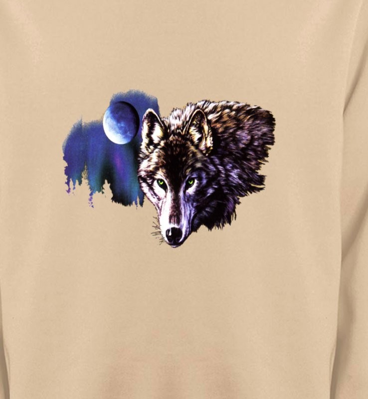 La nuit du loup (S2-C)