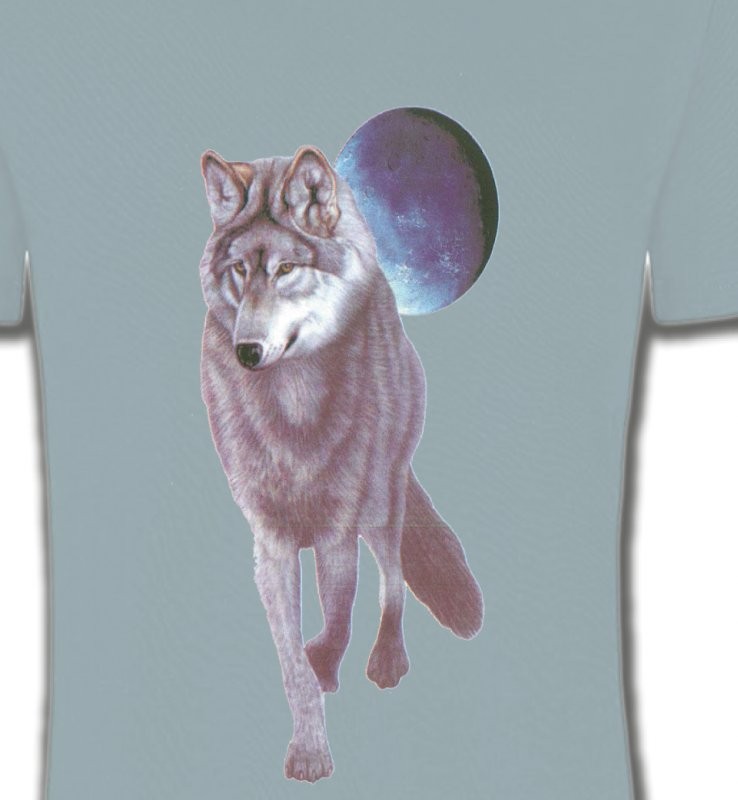 Loup devant la pleine lune