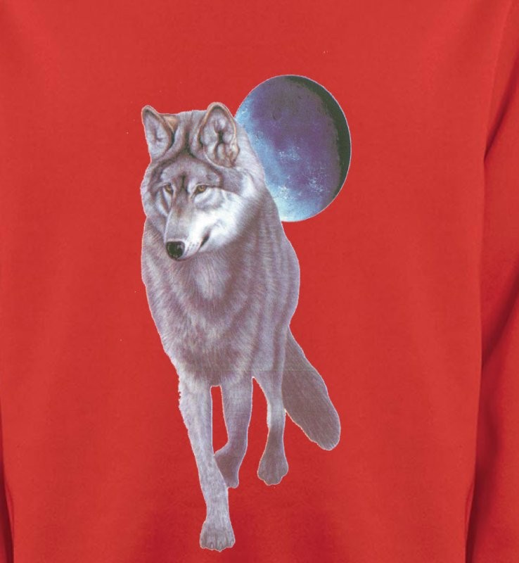Loup devant la pleine lune