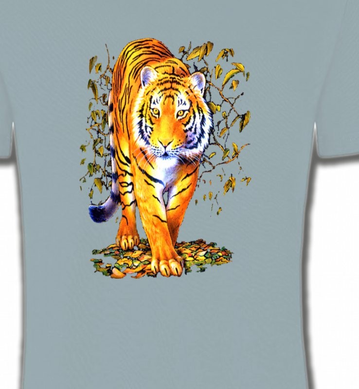 Tigre (H)