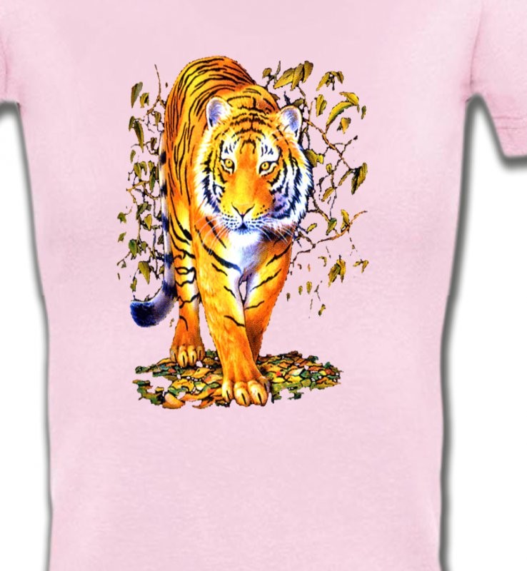 Tigre (H)