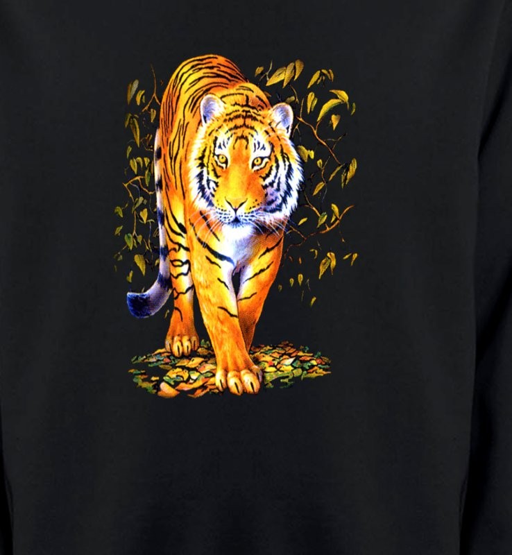 Tigre (H)
