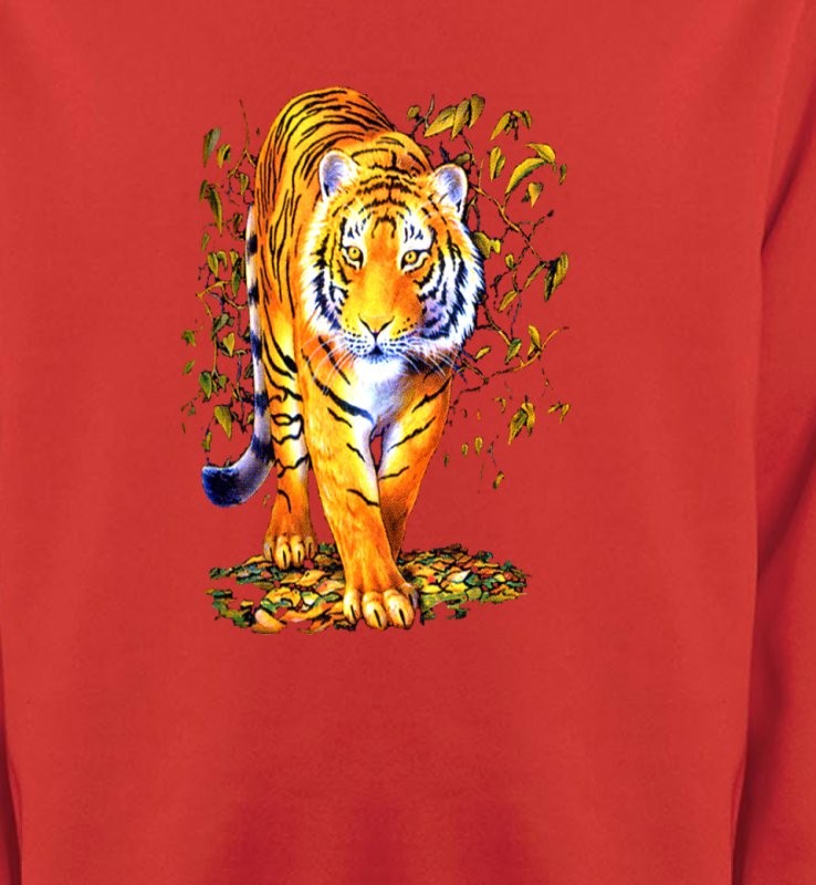 Tigre (H)