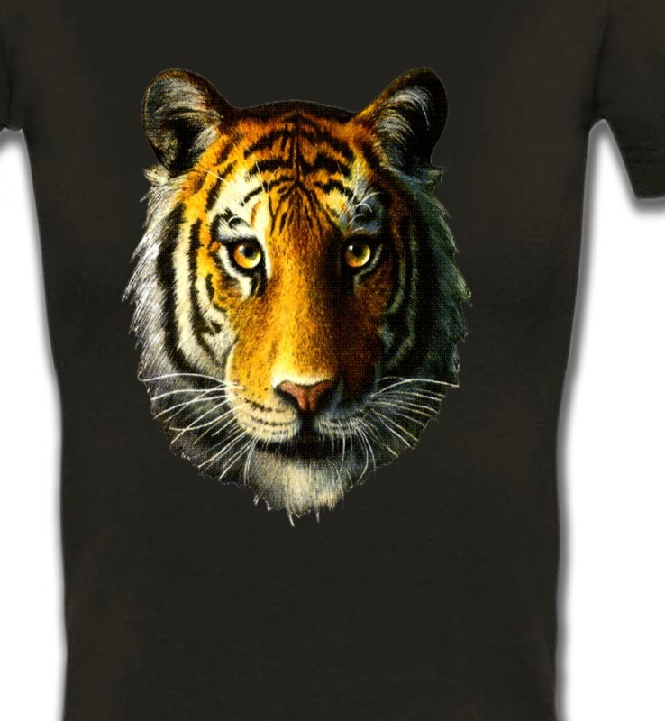 Tête de tigre (K)