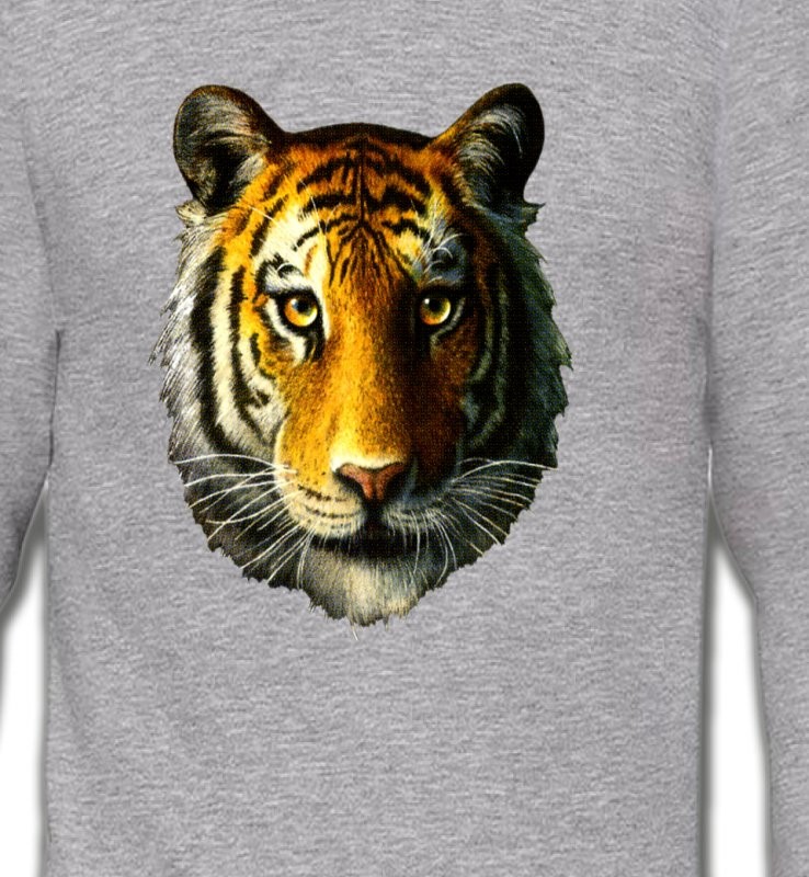 Tête de tigre (K)