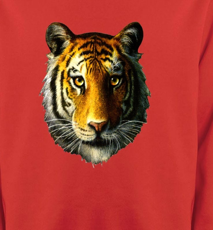 Tête de tigre (K)