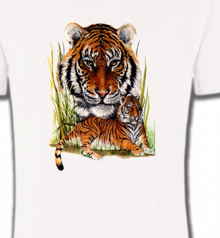 Tigres (F)