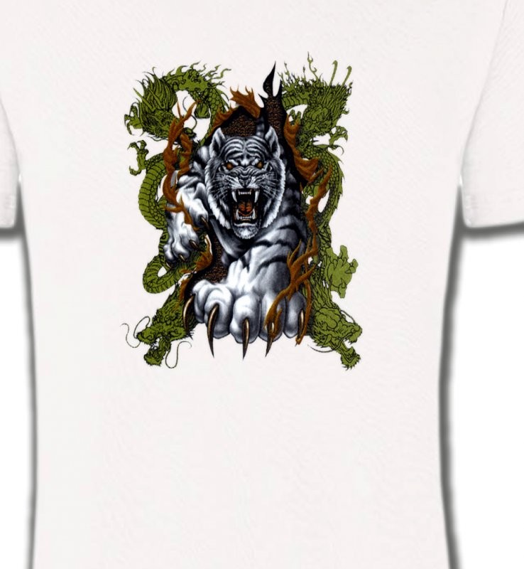 Griffes de tigre et dragon