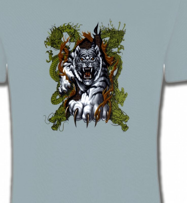 Griffes de tigre et dragon