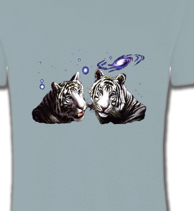 Deux tigres blancs (Y)