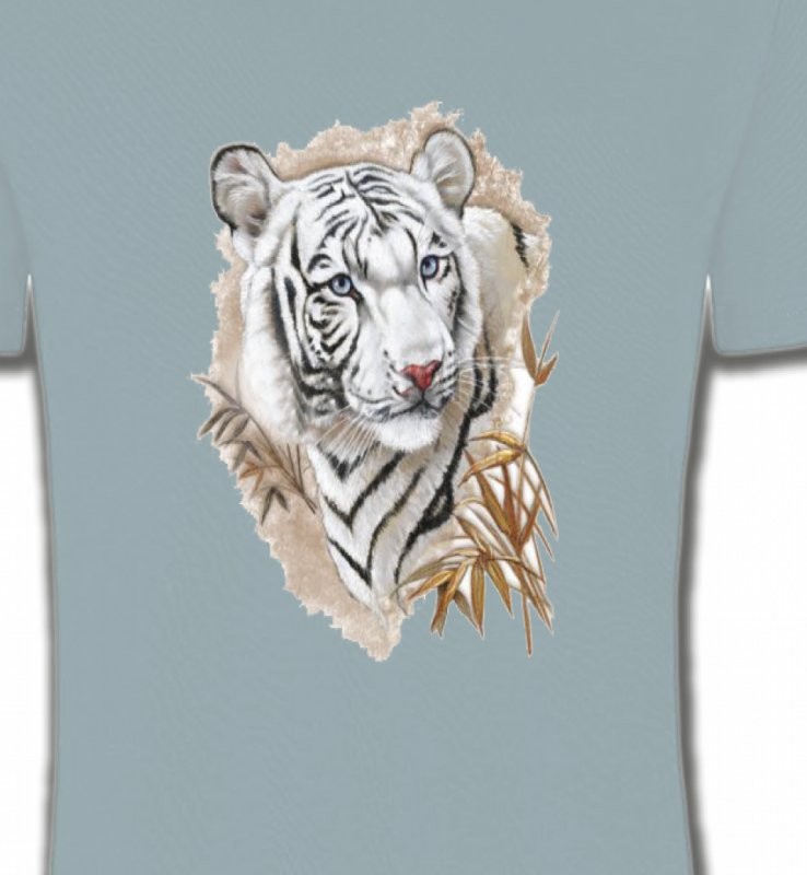 Tigre (E)