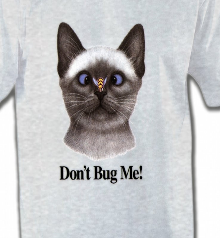 Chat Don't Bug Me Humour