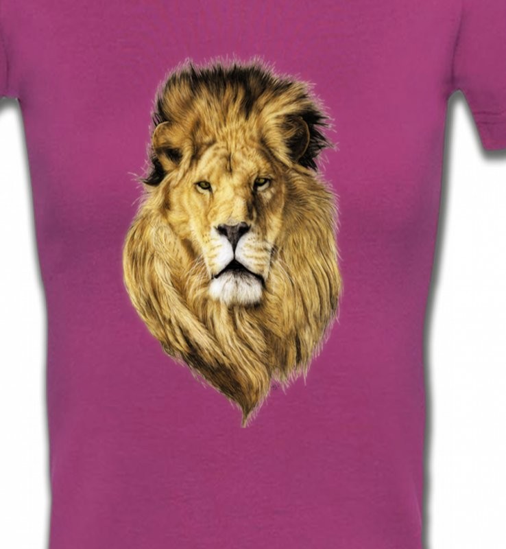 Tête de lion (X2)