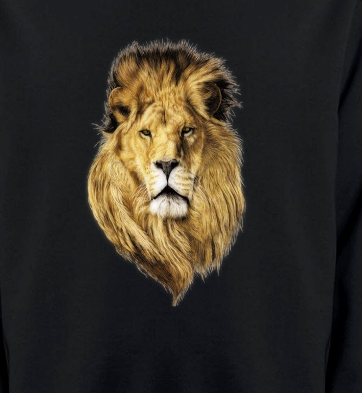 Tête de lion (X2)