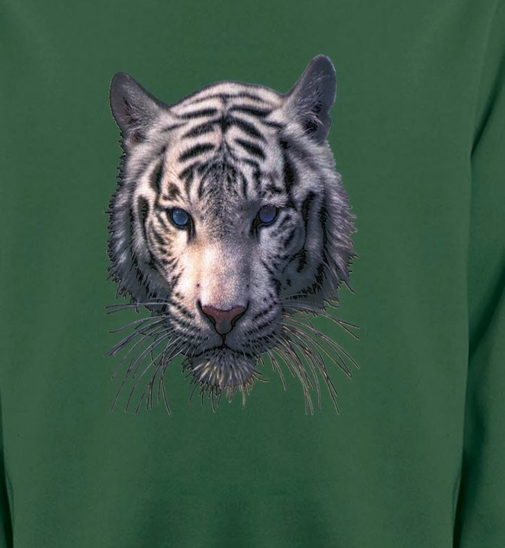 Tête de tigre blanc (X)