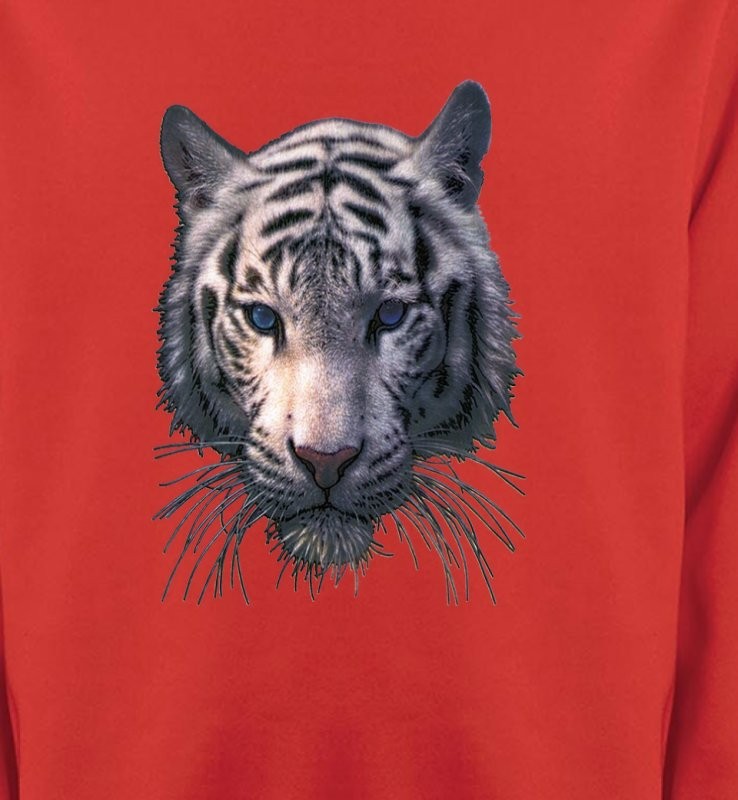Tête de tigre blanc (X)