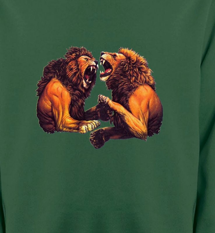 Lions féroces (C)