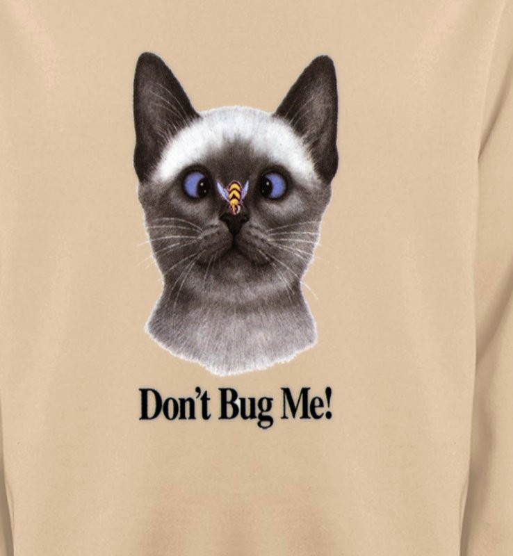 Chat Don't Bug Me Humour