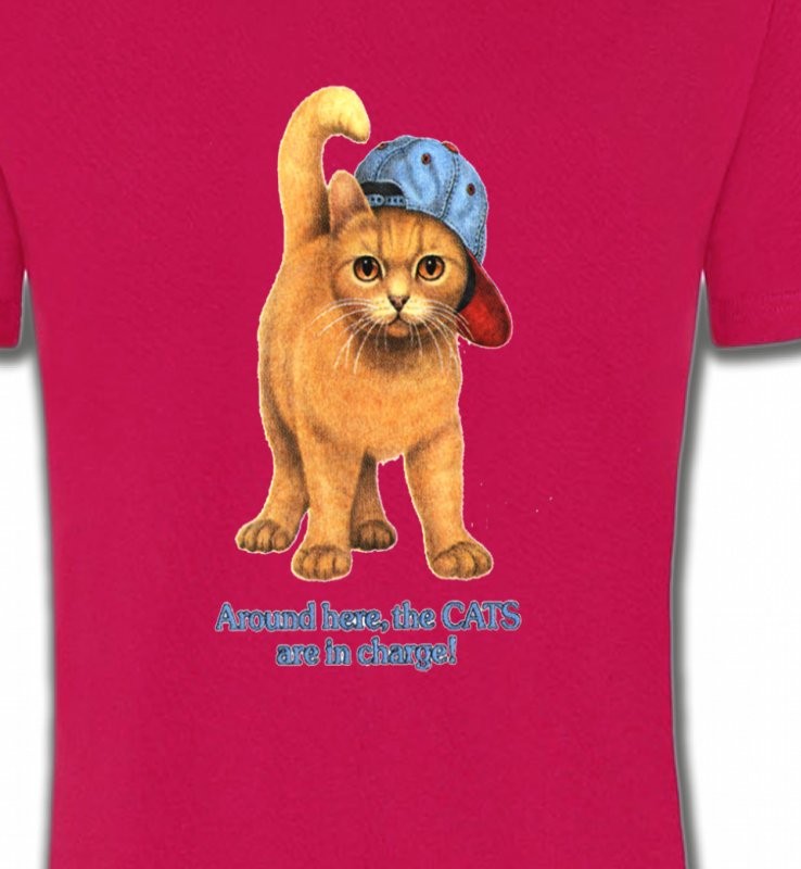 Chat roux Humour