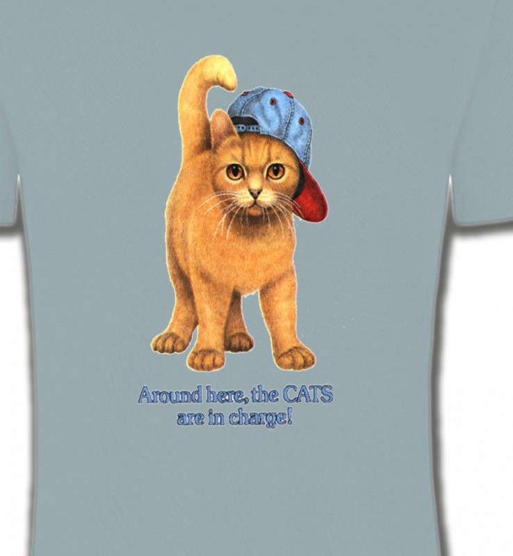 Chat roux Humour