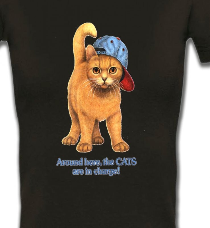 Chat roux Humour