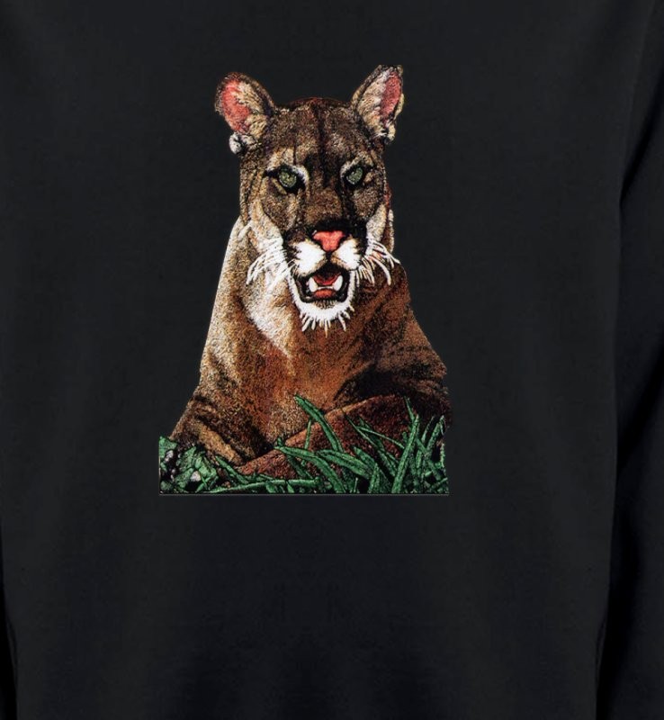 Cougar