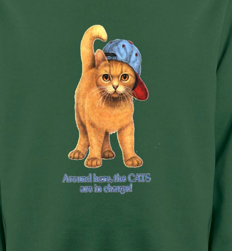 Chat roux Humour