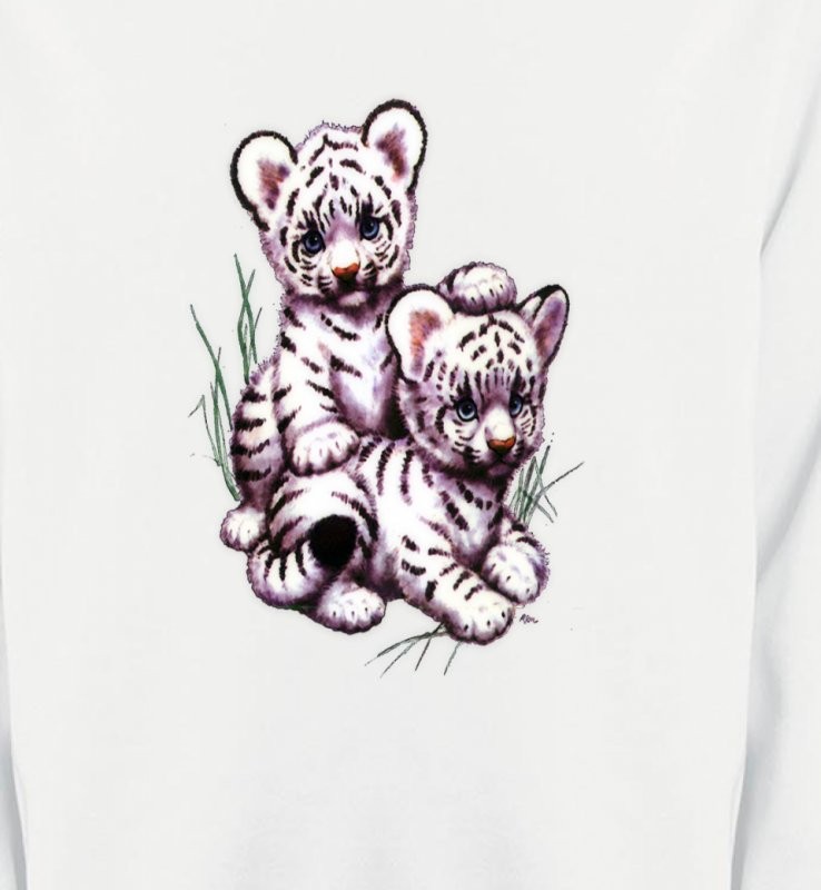 Deux bébés tigres blancs
