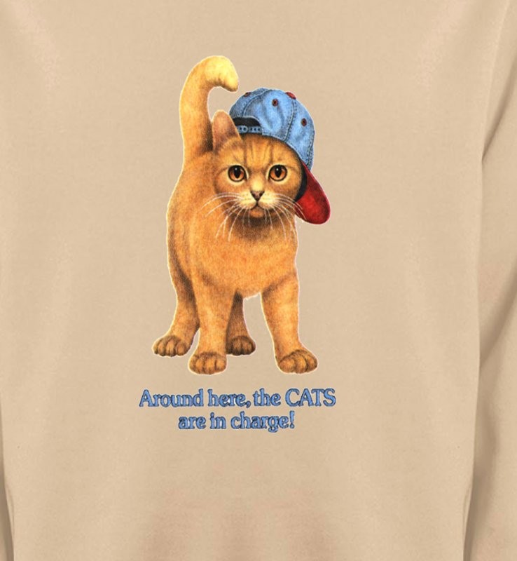 Chat roux Humour