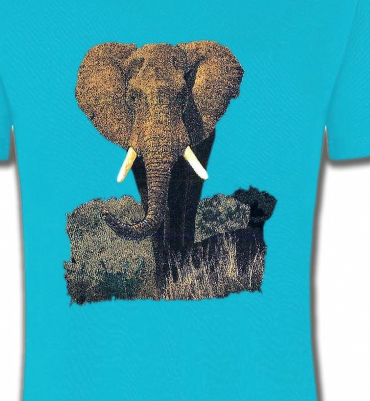 Eléphant