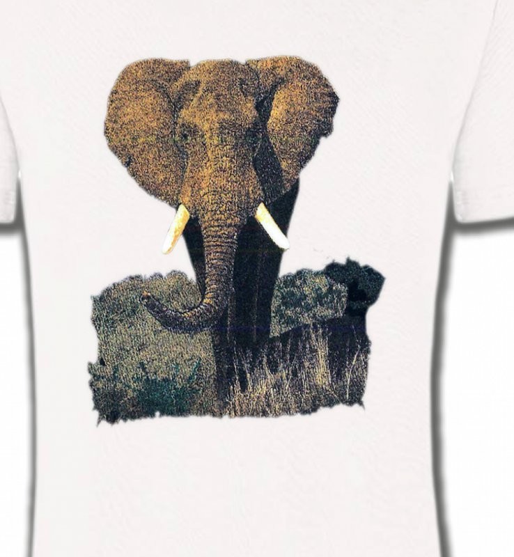 Eléphant