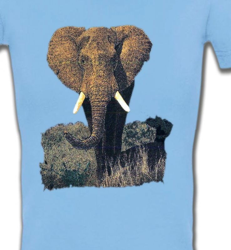 Eléphant