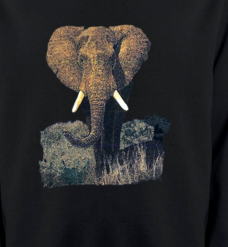Eléphant