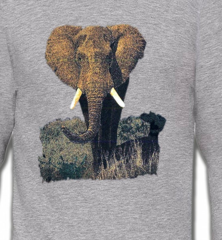 Eléphant