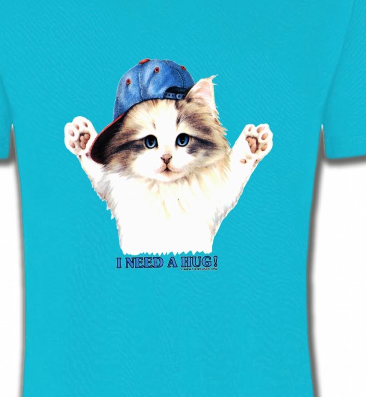Chaton Ragdoll (Z2)