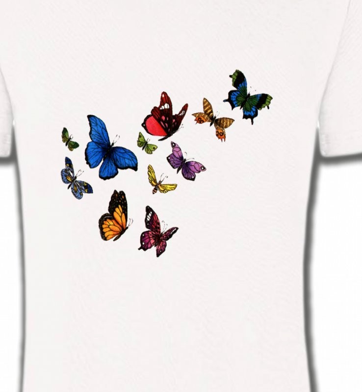Papillons - 2