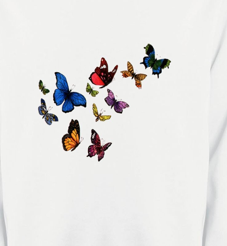 Papillons - 2