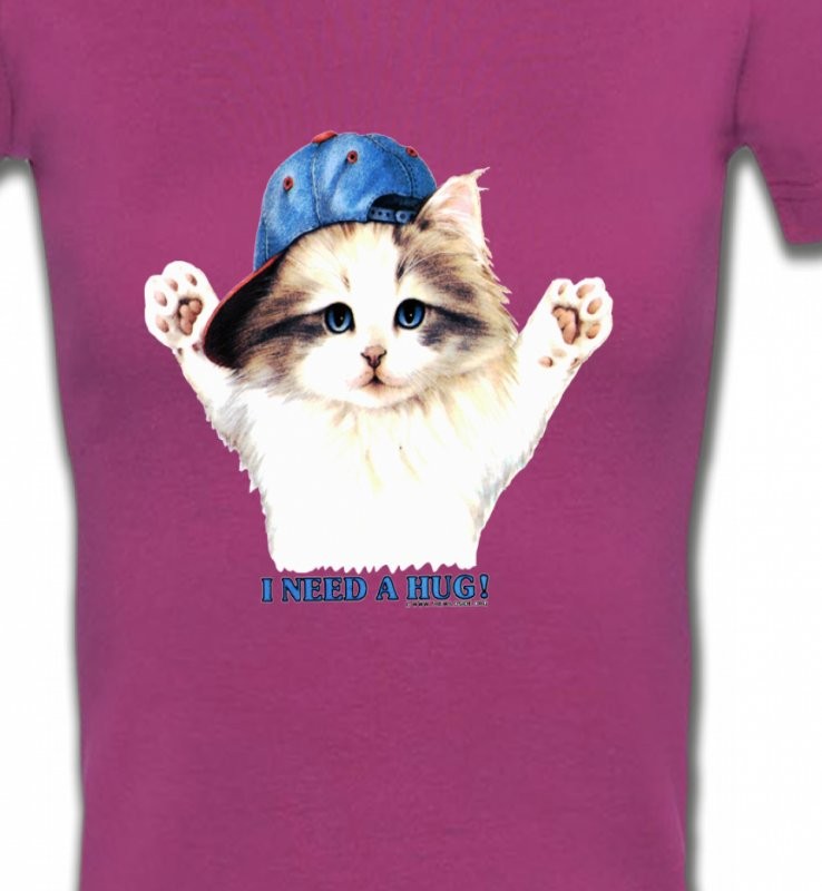 Chaton Ragdoll (Z2)