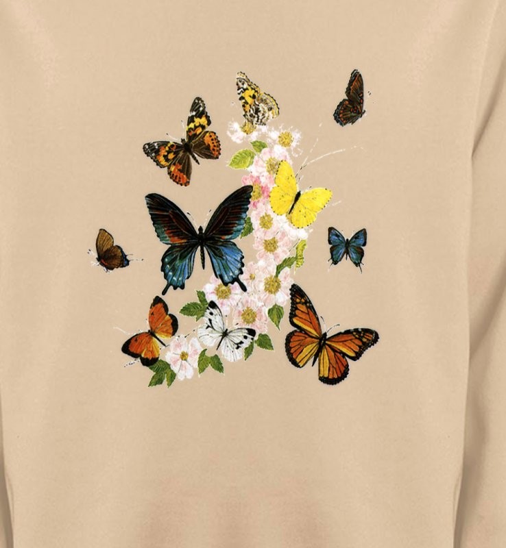 Papillons - 4