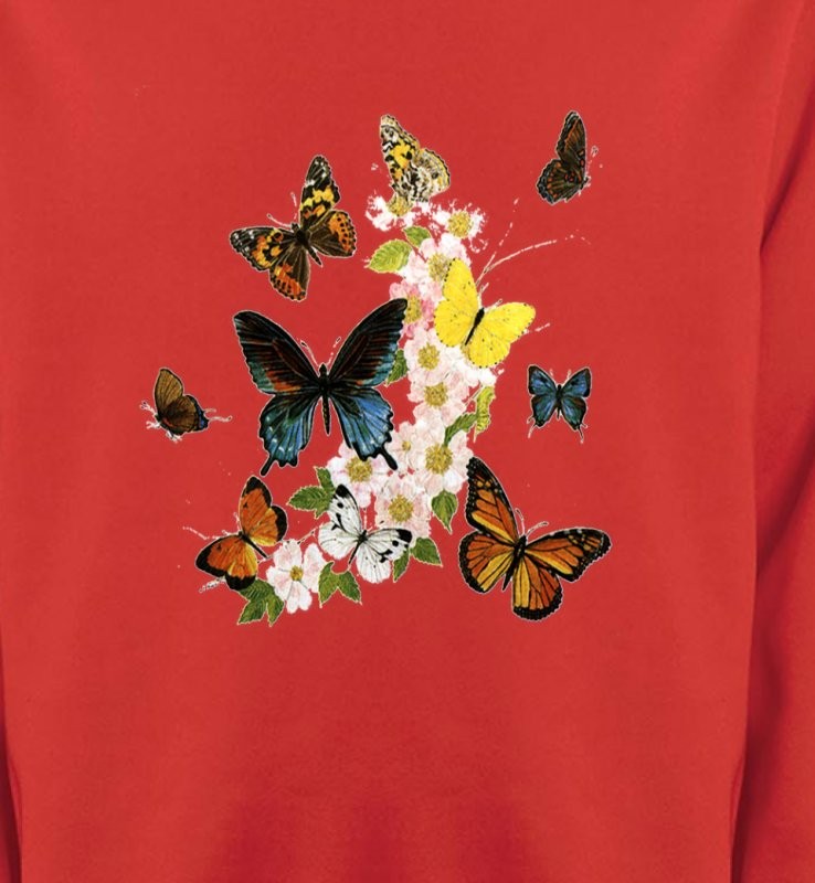 Papillons - 4
