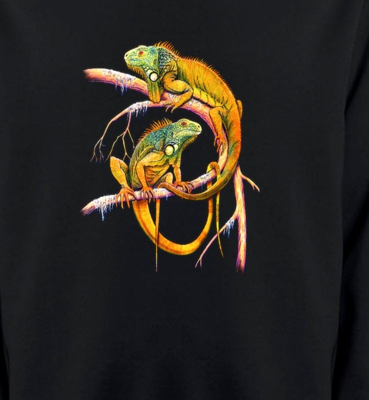 Iguanes